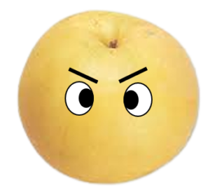 新高